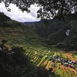 Ifugao, Philippines Profile Picture