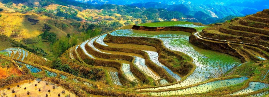 Ifugao, Philippines Cover Image