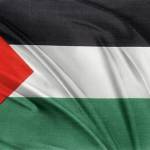 Palestine Profile Picture