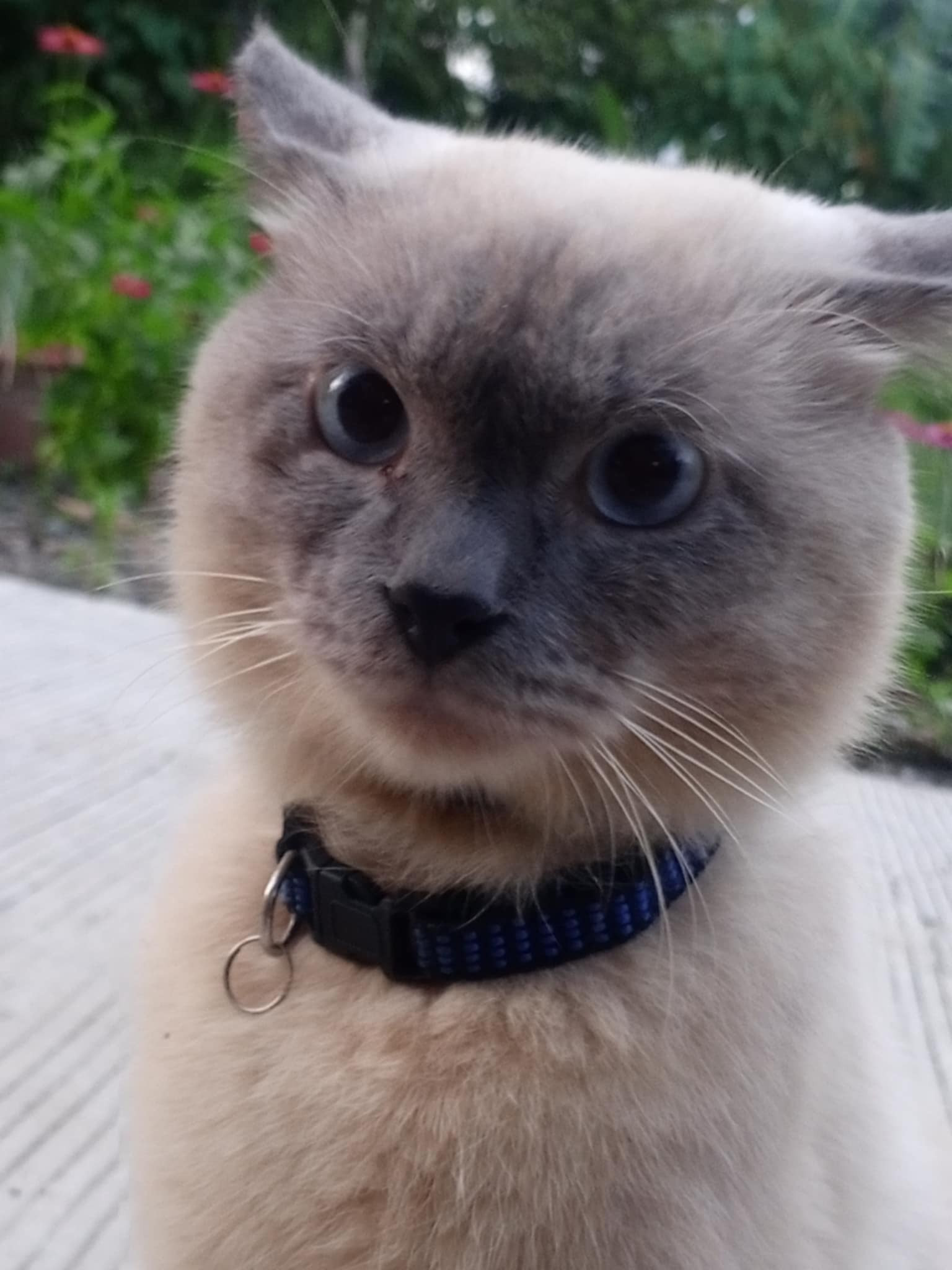 kheenyackerman Profile Picture