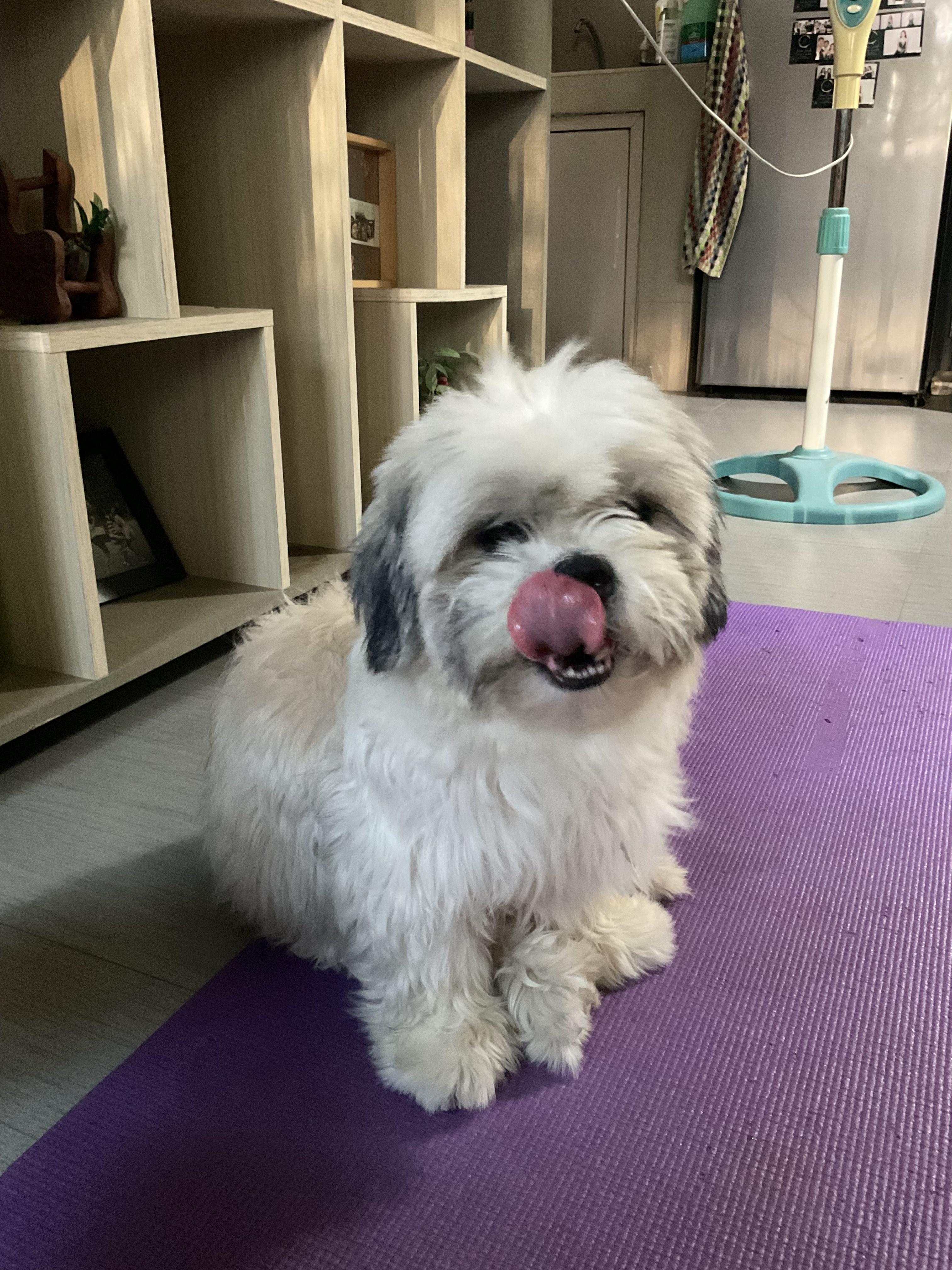ssupjuls Profile Picture